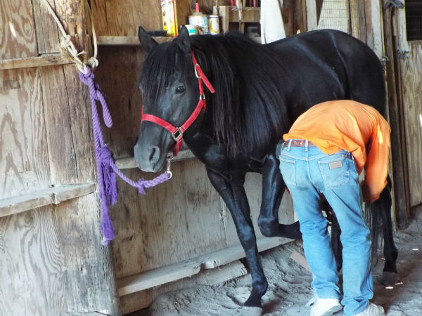 2017-June-18-Drift-11 2017-June-18-Drift-11