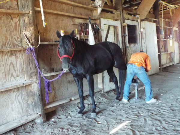 2017-June-18-Drift-18 2017-June-18-Drift-18