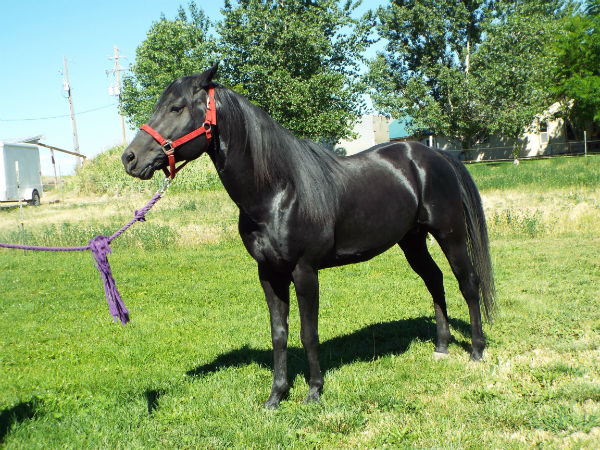 2017-June-18-Drift-29 2017-June-18-Drift-29