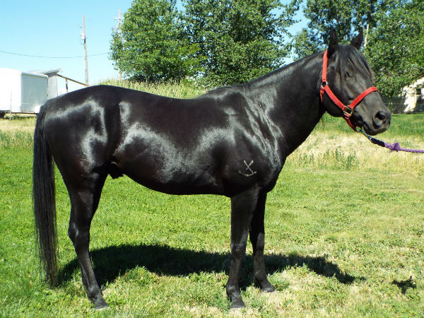 2017-June-18-Drift-6 2017-June-18-Drift-6