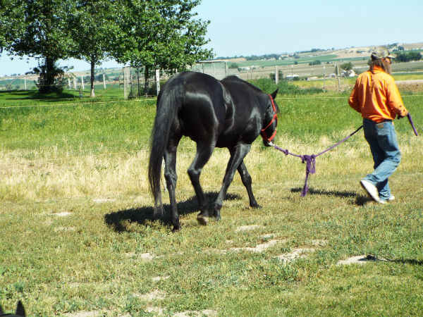 2017-June-18-Drift-9 2017-June-18-Drift-9