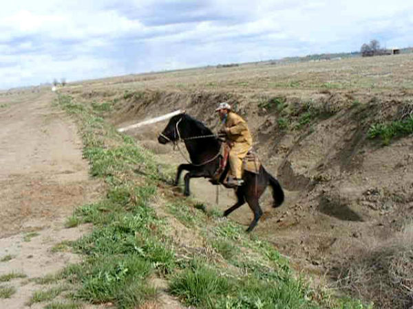 driftwebsite-1 driftwebsite-1