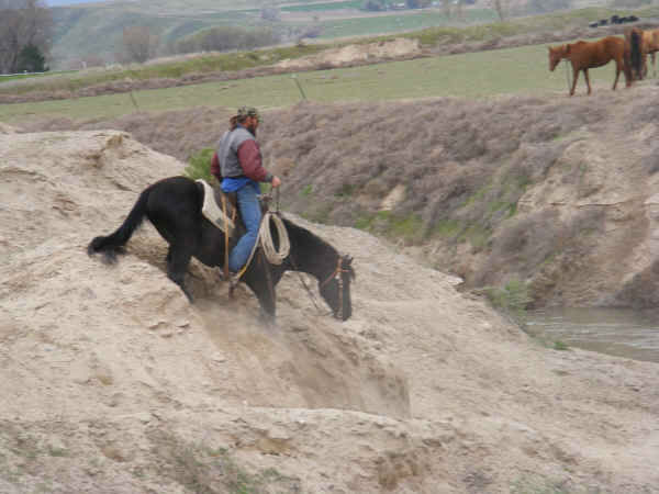 driftwebsite-2 driftwebsite-2