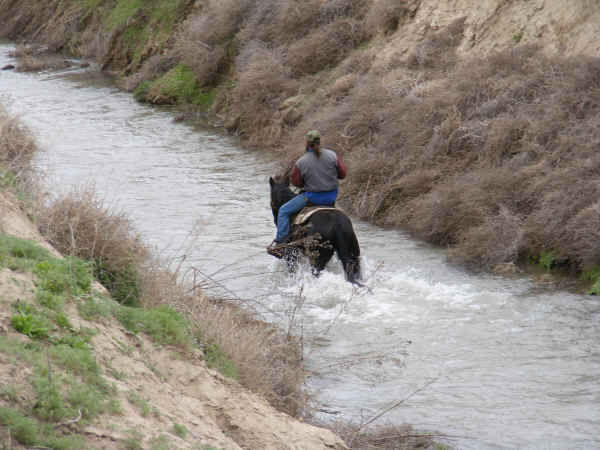 driftwebsite-3 driftwebsite-3