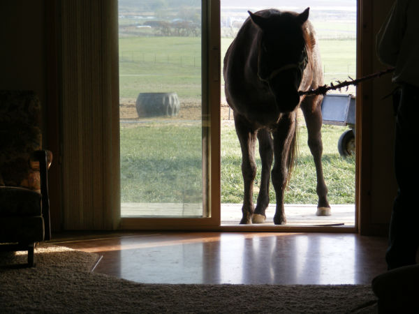 driftwebsite-4 driftwebsite-4