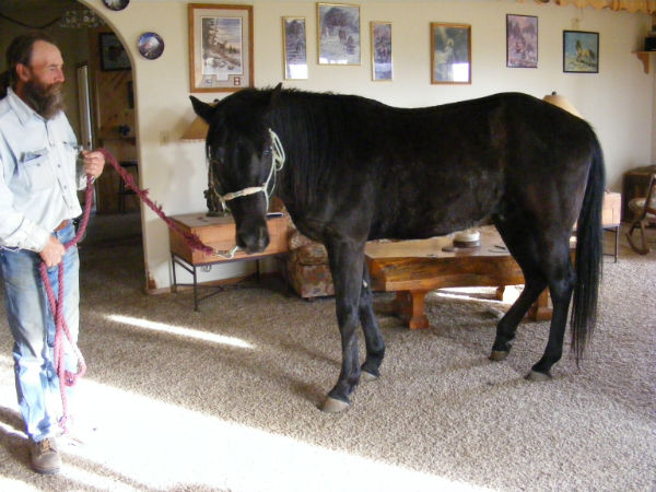 driftwebsite-5 driftwebsite-5