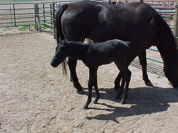 driftwebsite-6 driftwebsite-6