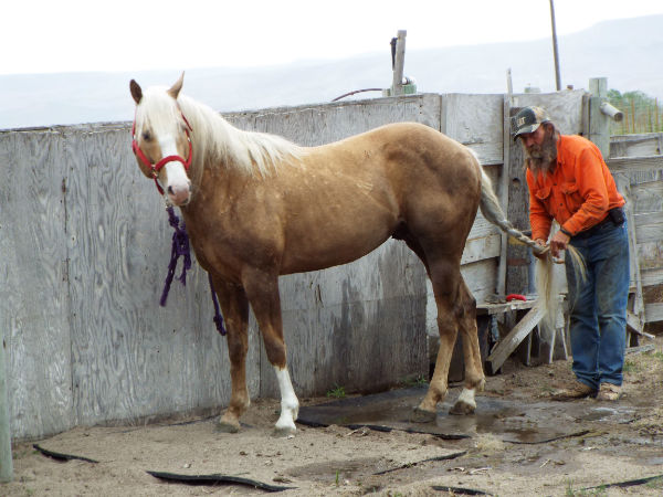 2017 Trigger June 11 34