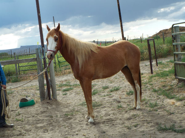 2017-Bar-June-10-8 2017-Bar-June-10-8