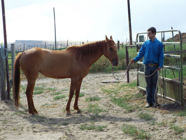 2017-Bear-June-10-3 2017-Bear-June-10-3