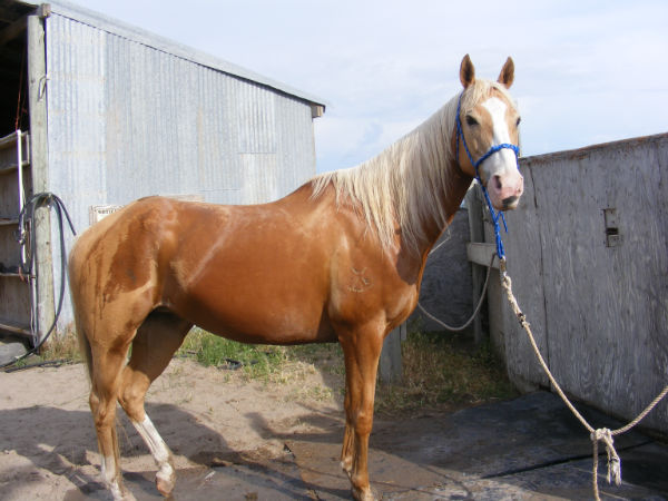 2015-may-Deuce-1 2015-may-Deuce-1