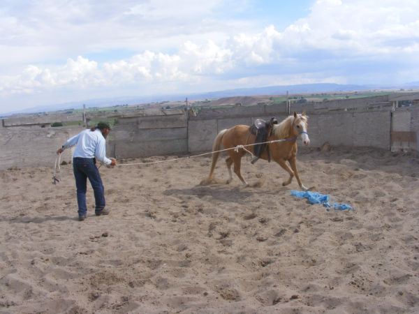 2015-may-Deuce-10 2015-may-Deuce-10