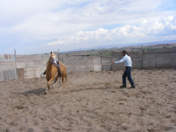 2015-may-Deuce-11 2015-may-Deuce-11