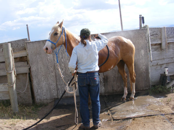 2015-may-Deuce-12 2015-may-Deuce-12