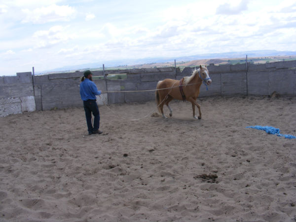 2015-may-Deuce-2 2015-may-Deuce-2