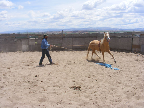 2015-may-Deuce-3 2015-may-Deuce-3