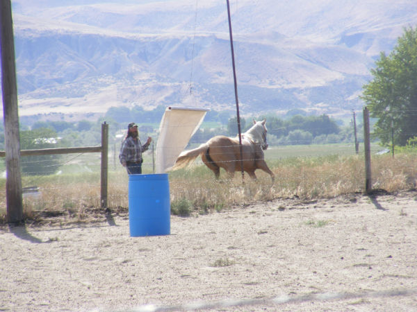 2015-may-Deuce-4 2015-may-Deuce-4