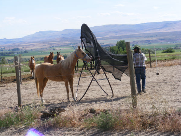 2015-may-Deuce-5 2015-may-Deuce-5