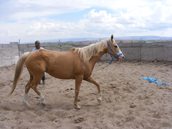 2015-may-Deuce-6 2015-may-Deuce-6