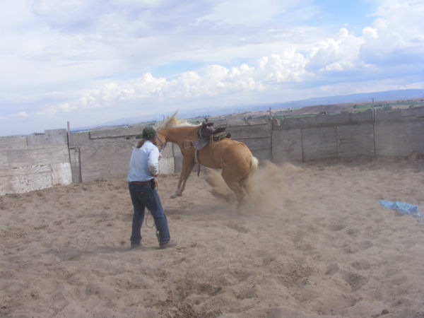 2015-may-Deuce-7 2015-may-Deuce-7