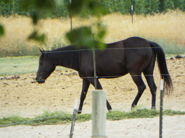 2016-july-3-droupn 2016-july-3-droupn