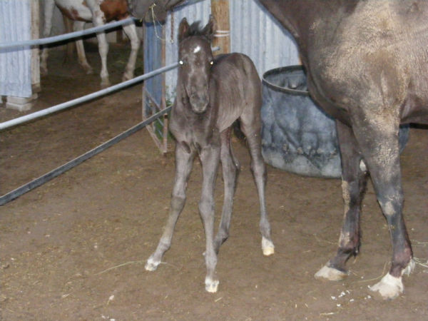 may-15-2011-droupn may-15-2011-droupn