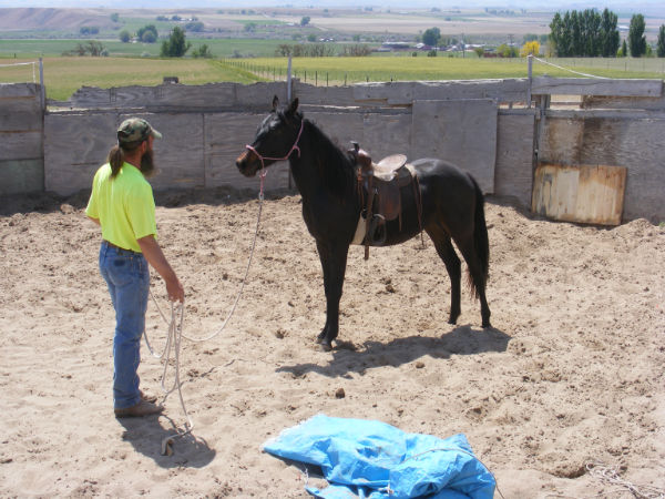 dynomite-2012-1 dynomite-2012-1