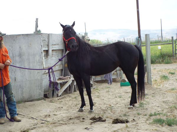 2017 Droupn June 10 13