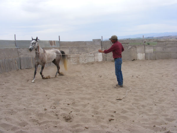 2015-may-lil-dew-2 2015-may-lil-dew-2