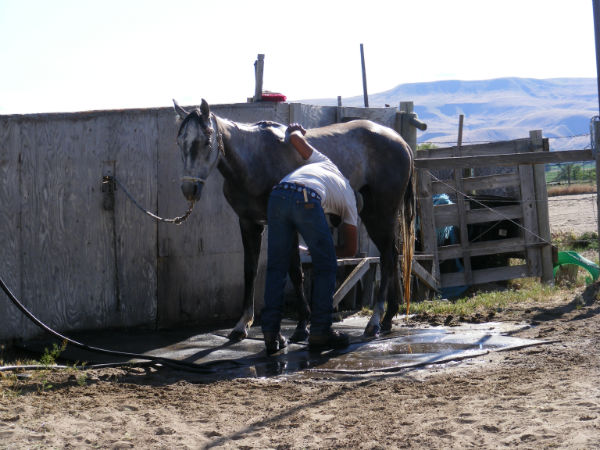 2015-may-lil-dew-3 2015-may-lil-dew-3