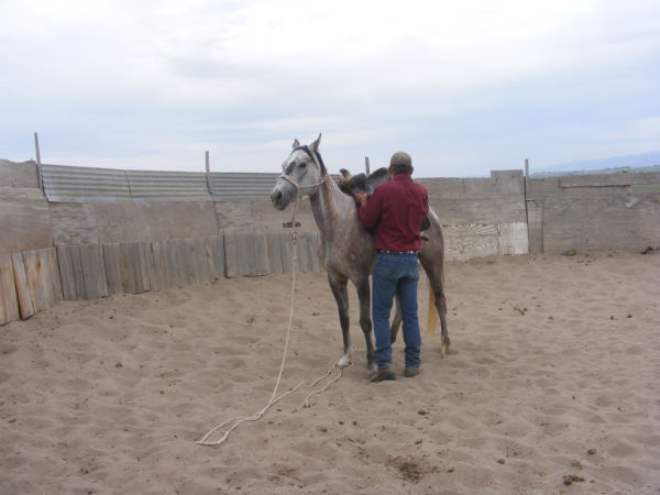 2015-may-lil-dew-4 2015-may-lil-dew-4