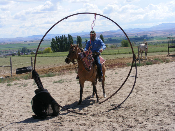 2015-may-sunny-1 2015-may-sunny-1