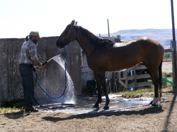 2015-may-sunny-10 2015-may-sunny-10