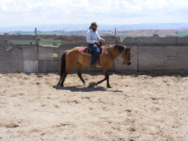 2015-may-sunny-11 2015-may-sunny-11