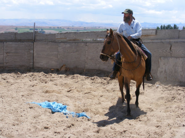 2015-may-sunny-12 2015-may-sunny-12