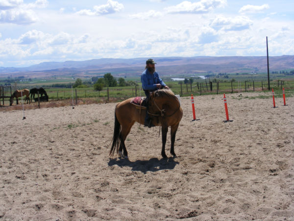 2015-may-sunny-13 2015-may-sunny-13