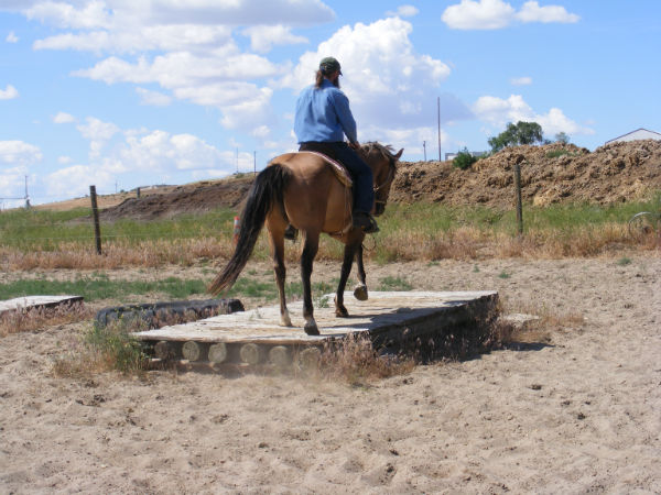 2015-may-sunny-2 2015-may-sunny-2