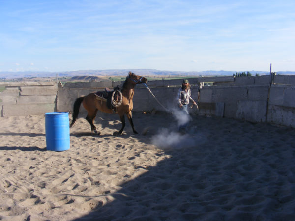 2015-may-sunny-3 2015-may-sunny-3