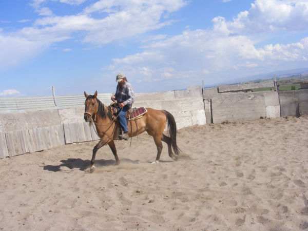 2015-may-sunny-4 2015-may-sunny-4