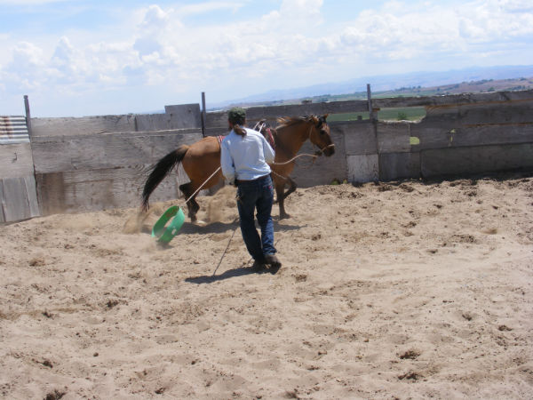 2015-may-sunny-5 2015-may-sunny-5