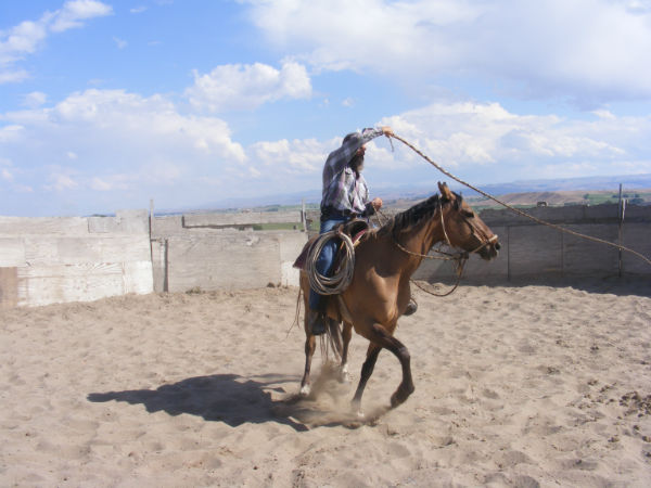 2015-may-sunny-6 2015-may-sunny-6