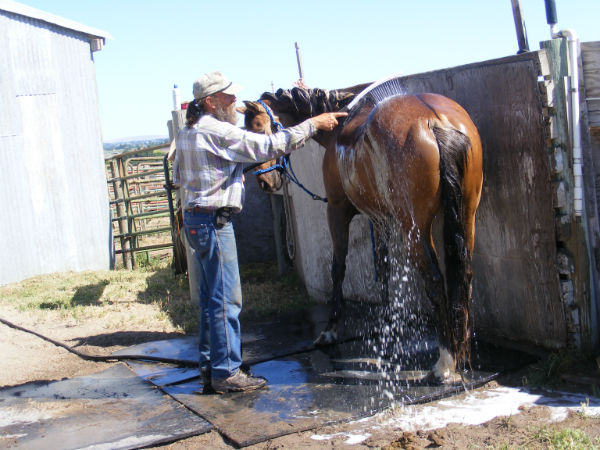 2015-may-sunny-7 2015-may-sunny-7