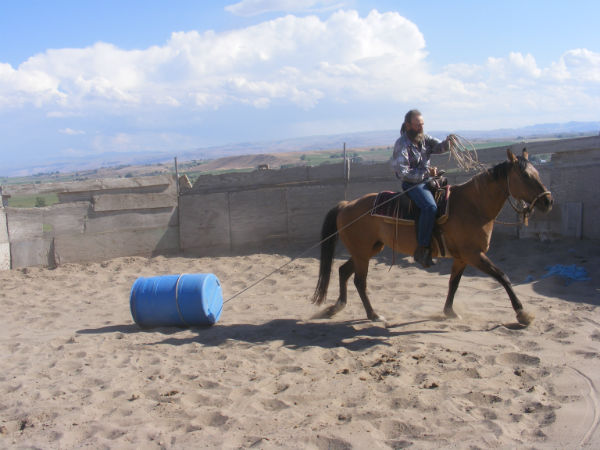 2015-may-sunny-8 2015-may-sunny-8