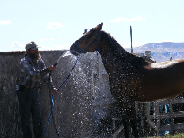 2015-may-sunny-9 2015-may-sunny-9