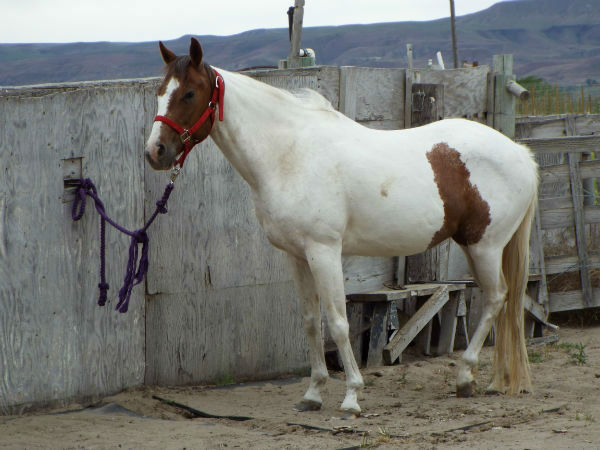 2017-Zee-June-11-18 2017-Zee-June-11-18