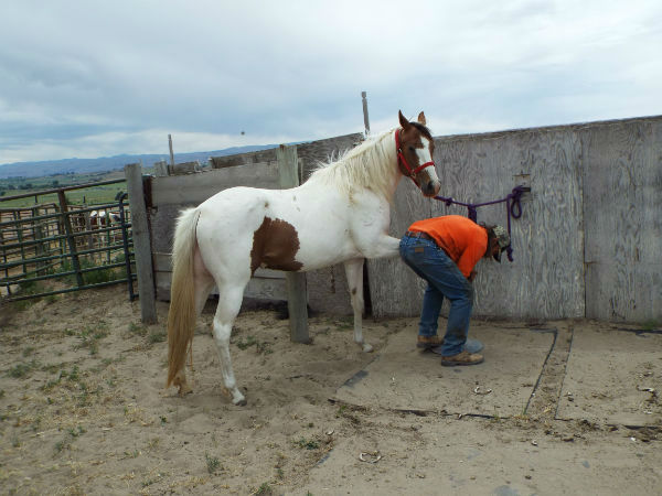 2017-Zee-June-11-9 2017-Zee-June-11-9